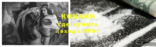 шишки Армянск