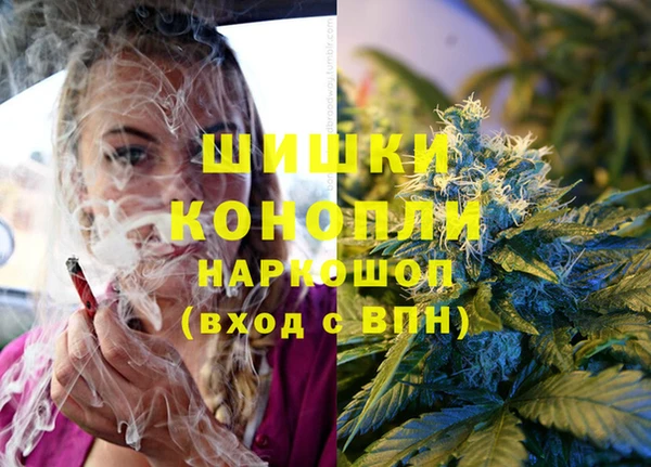 шишки Армянск