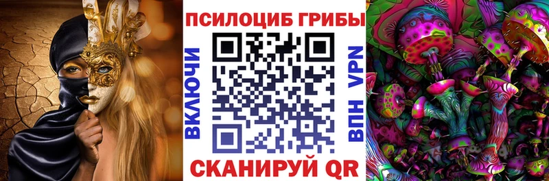 Псилоцибиновые грибы Psilocybe mega как зайти Спасск-Дальний продажа наркотиков